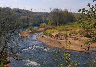 Clifton Country Park