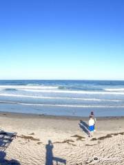 Jenness State Beach