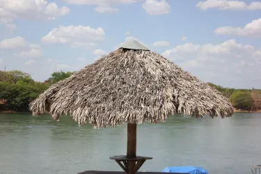 Floriano