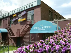 The Terris Theatre