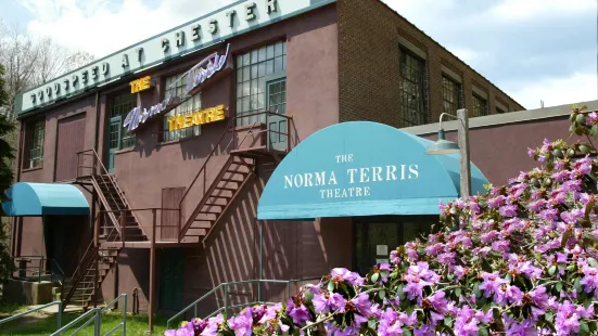 The Terris Theatre