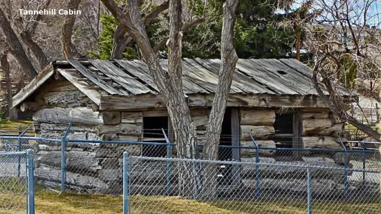 Tannehill Cabin