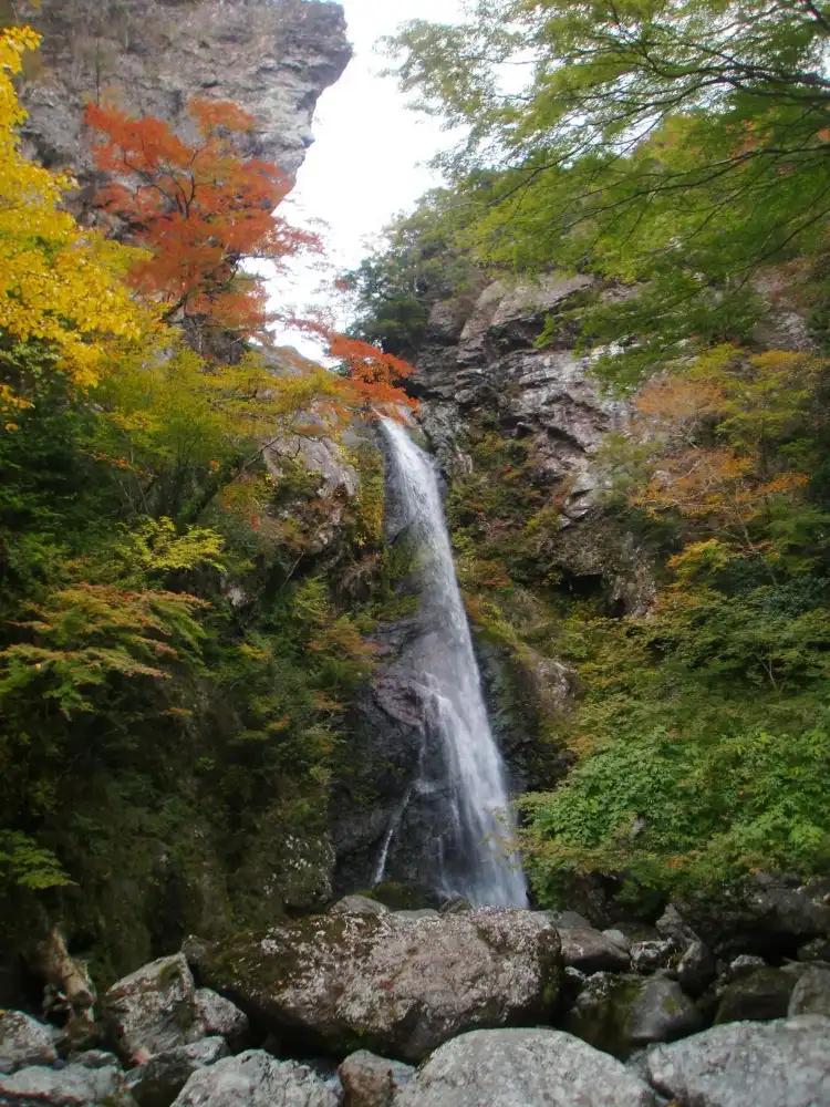 香美市