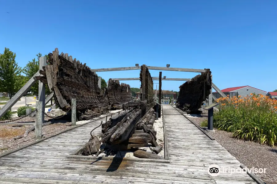 Lottie Cooper Shipwreck