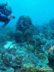 Coral Divers Curacao