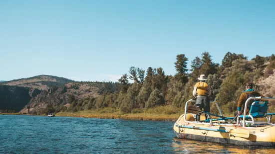 Fly Fishing Colorado