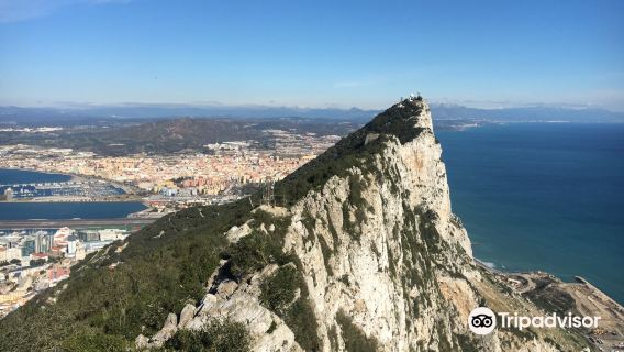 Pillars of Hercules