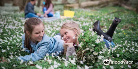 HAlebacksrod Naturreservat