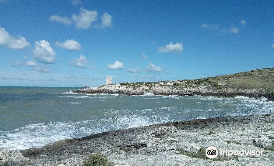 Spiaggia di Scialmarino