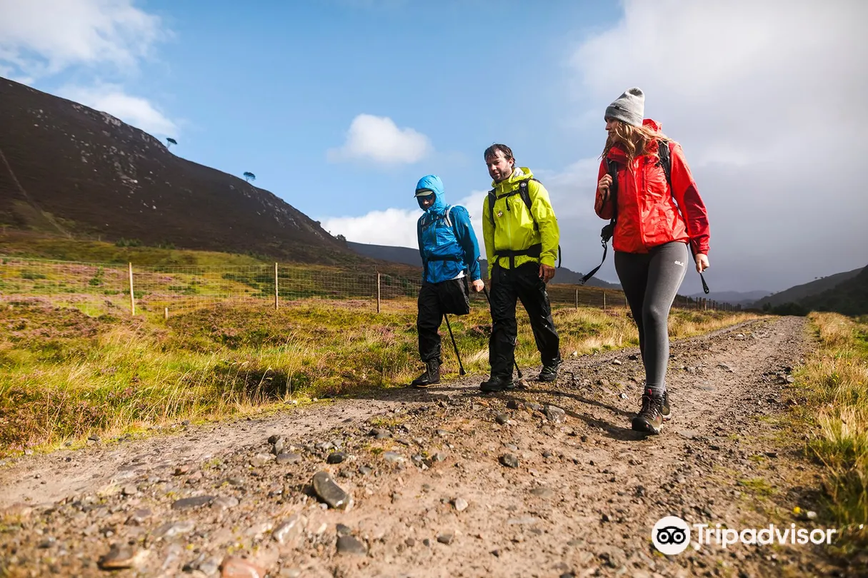 4_Mckenzie Mountaineering - Guided Walking Adventures