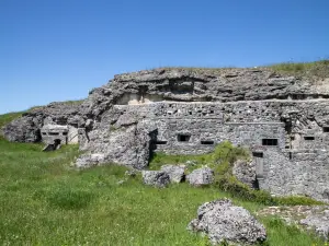 Fort Douaumont