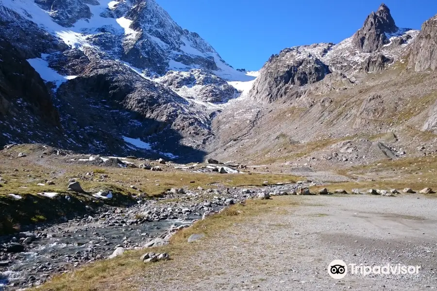 Stein Glacier