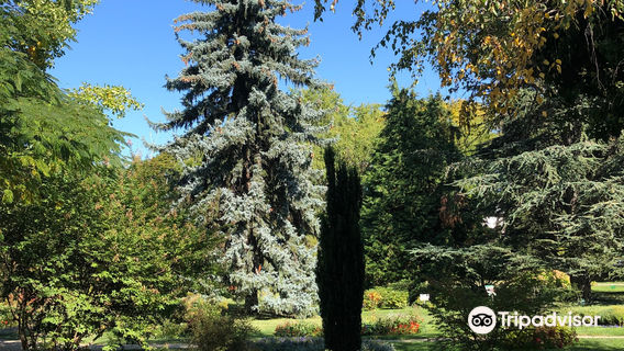 Alexandru Ioan Cuza Park