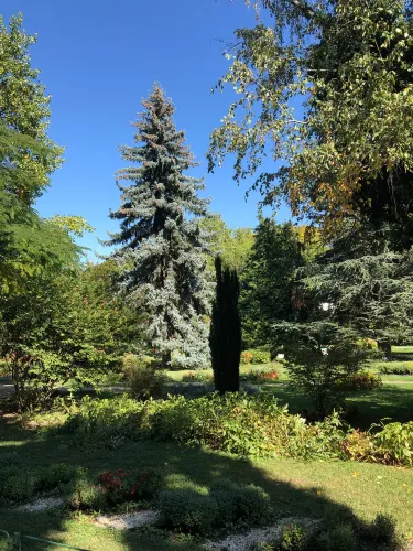 Alexandru Ioan Cuza Park