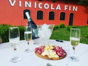 Vinicola Fin