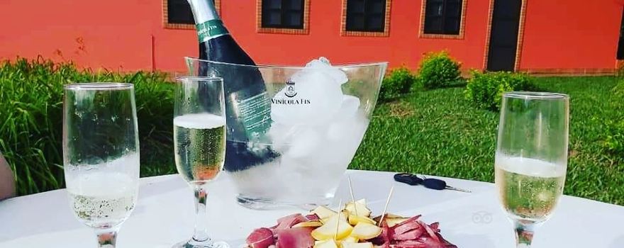 Vinicola Fin