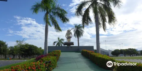 Praca Do Centro Civico