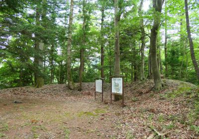 武田八幡宮