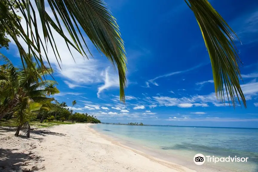 Vuda Point Marina Fiji