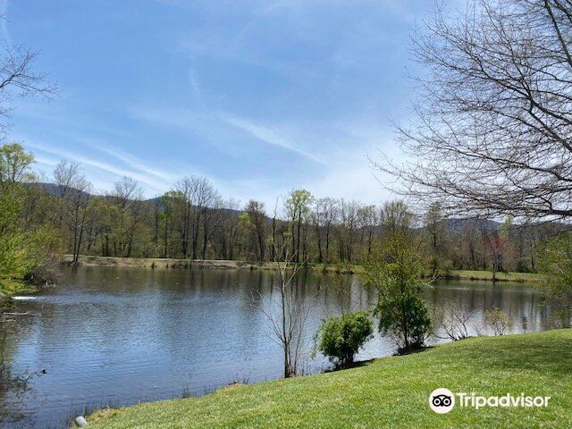 Charles D Owen Park