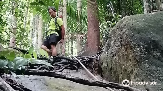 Bukit Engku Busu