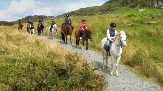 Bantry Bay Pony Trekking