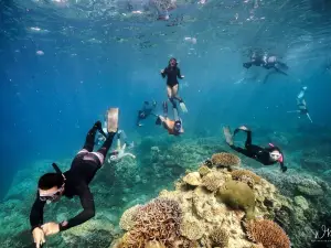 Sea Dragon Dive Center, Khao Lak