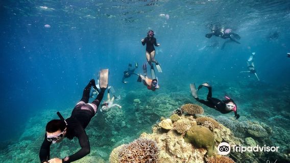 Sea Dragon Dive Center, Khao Lak
