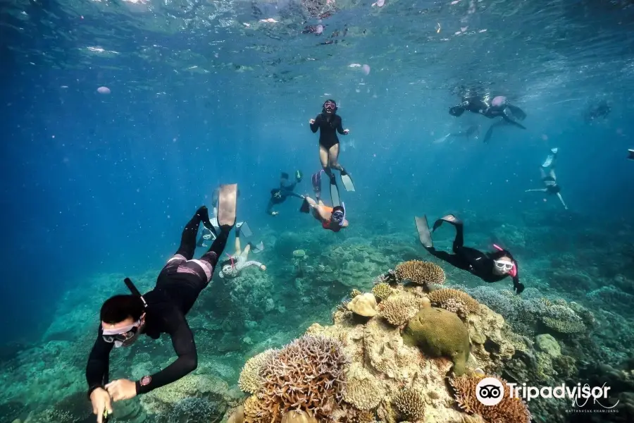 Sea Dragon Dive Center, Khao Lak