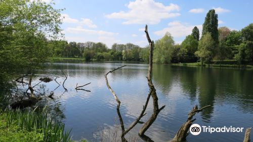 シャトー公園