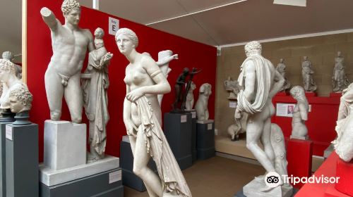 Museum of Classical Archaeology