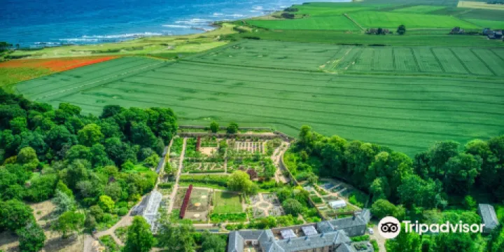 Cambo Estate Gardens