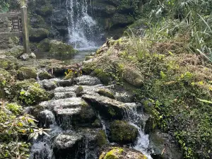 레인보우 스프링스 주립공원