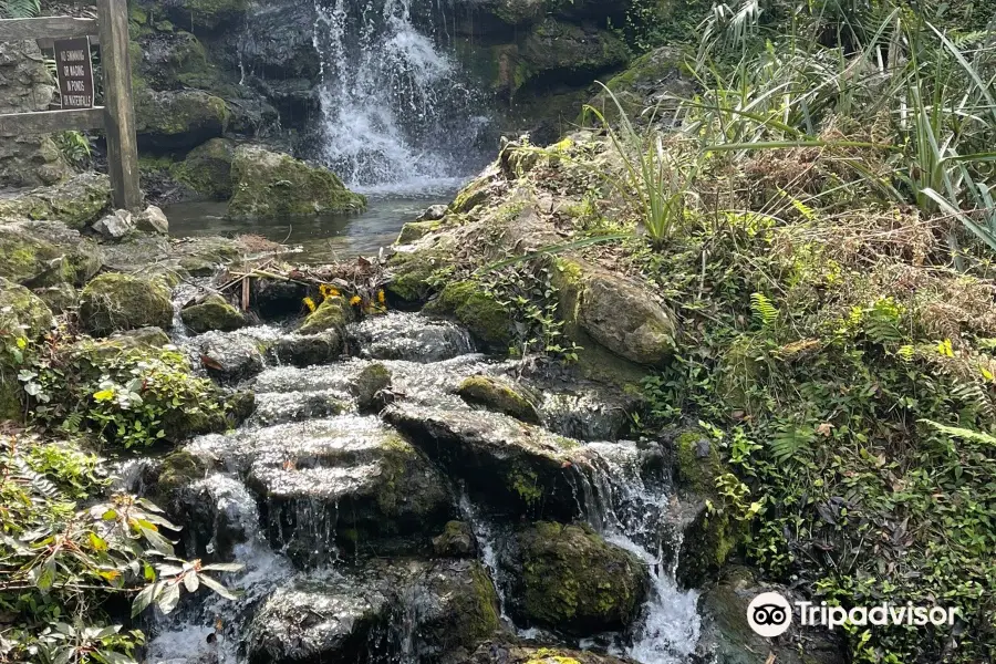 Rainbow Springs State Park