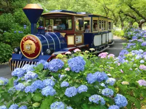 Hamamatsu Flower Park