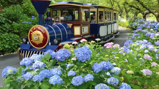 Hamamatsu Flower Park