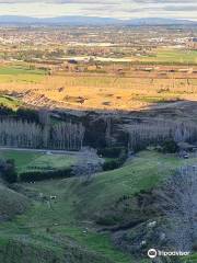 Papamoa Hills Cultural Heritage Regional Park