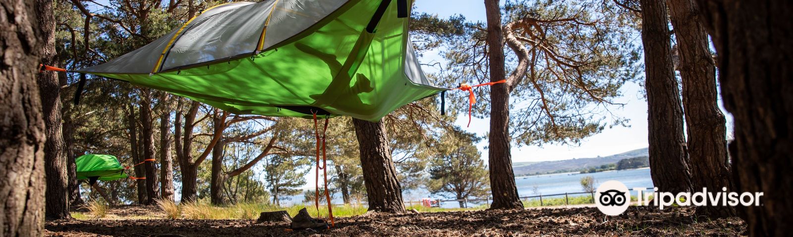 StudlandTours