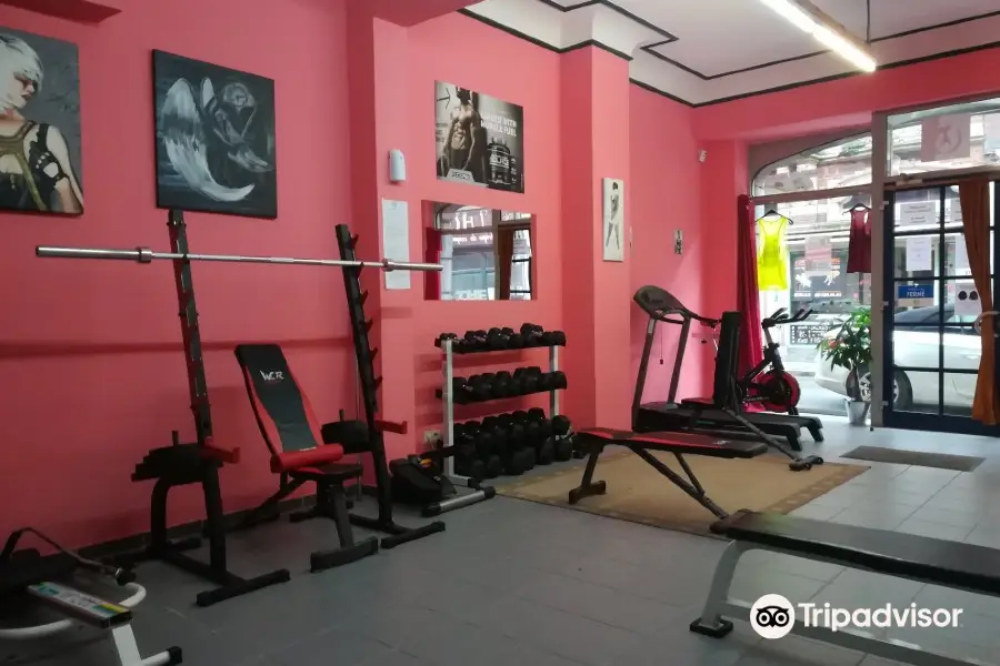 The Fitness House