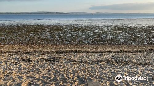 Lepe Country Park