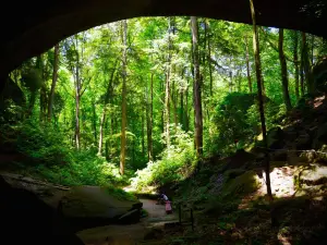 Natural Bridge Park