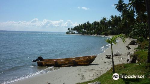 Flora Tours - Excursions Nature - Las Terrenas