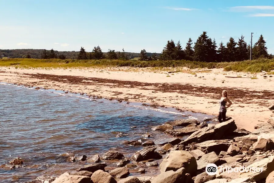 Melmerby Beach Provincial Park