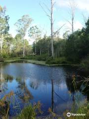 Capalaba Regional Park