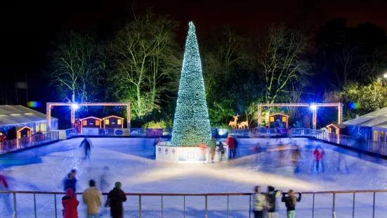 Yorkshire's Winter Wonderland