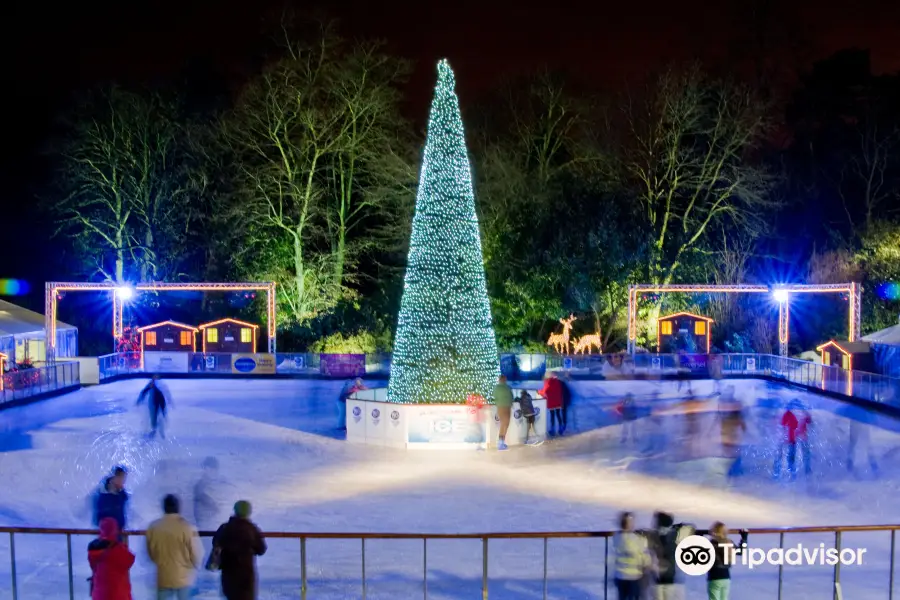 Yorkshire's Winter Wonderland