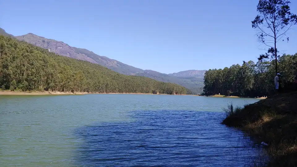 5_ECHO point Munnar