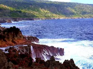 The Blowholes