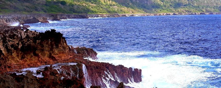 The Blowholes