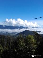 Marysville State Forest